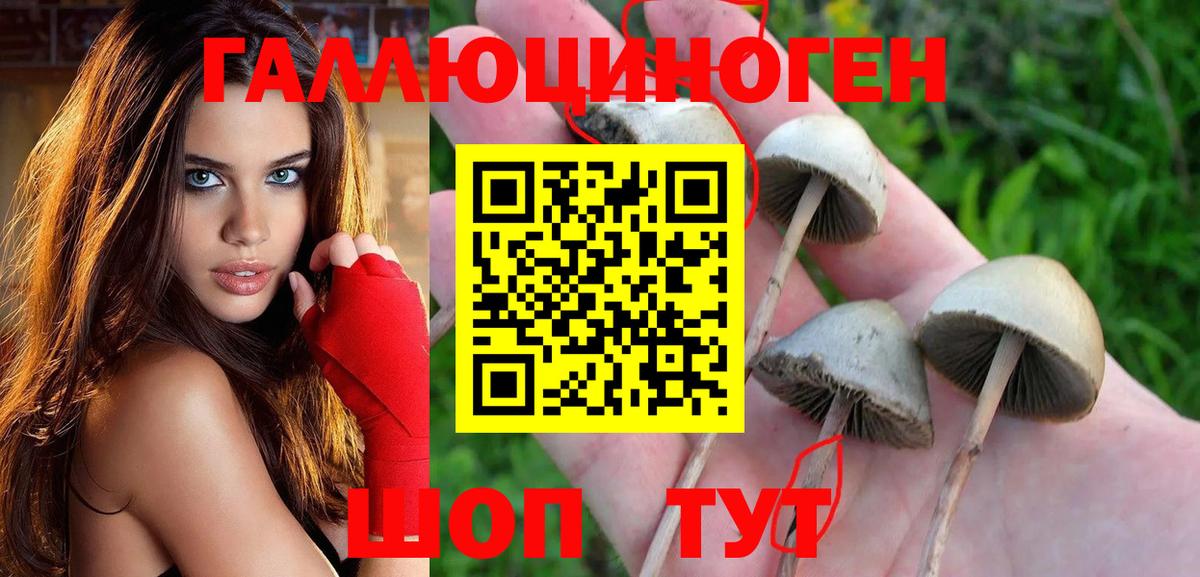 Галлюциногенные грибы мицелий  Вход с VPN  Сибай 